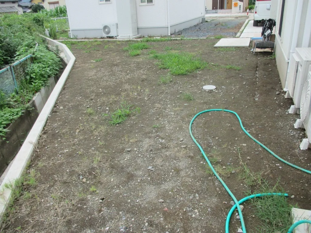 Before